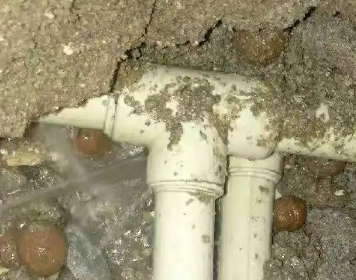 鼎城测漏水多少钱