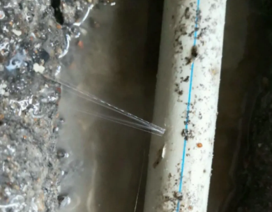 鼎城测漏水哪家好