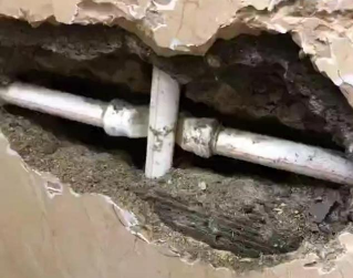 鼎城测漏水哪家好