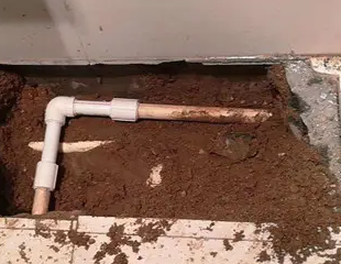 鼎城测漏水哪家好