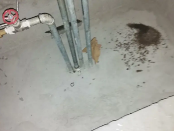 鼎城卫生间测漏水价格明细