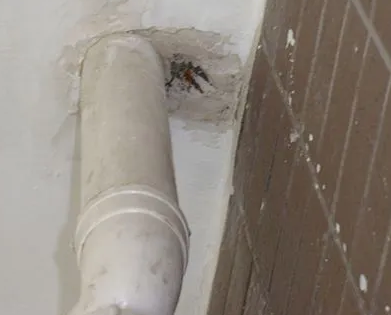 鼎城漏水检测哪家好